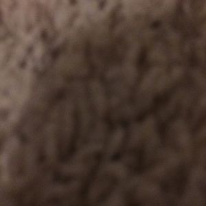 Meet your Posher, Dee